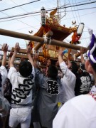 2008浦安三社祭4 2008浦安三社祭4