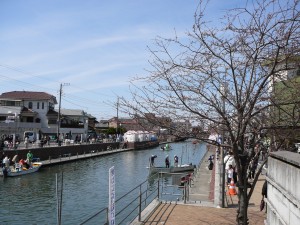 20090329P1160557.JPG