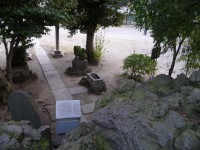 20100316P1030271.JPG