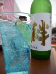 20100327P1030912.JPG