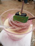 20100328P1030928.JPG