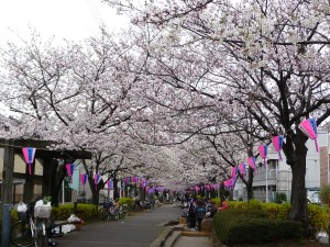 20100404P1040498.JPG