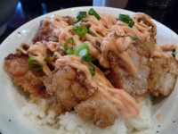 20100517P1050288.JPG
