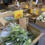 ヤスイ薬局　農家直送新鮮野菜市場｜週イチマルシェで楽しくお買い物