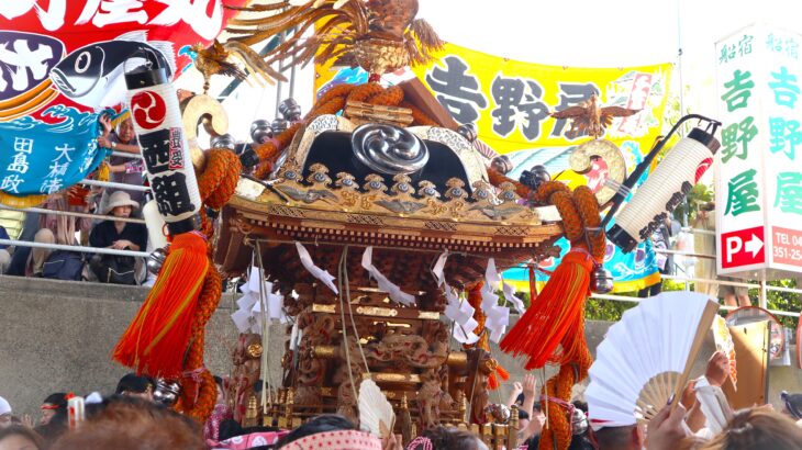 浦安三社祭が8年ぶりに大復活‼︎マエダマエダ‼︎