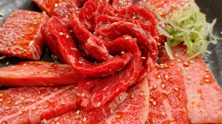 焼肉 栄 行徳本店｜駅前に再移転して立地もコスパも良好