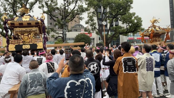 行徳まつり2025｜行徳担ぎと江戸前担ぎが競演した雨上がりの神輿パレード